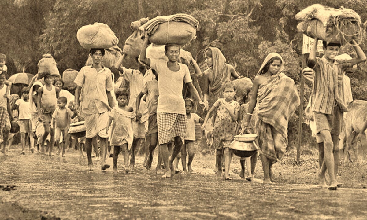 Picture of 1971-Bengal