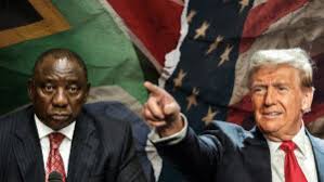 G20
